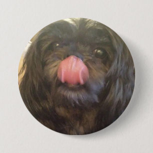 Chapa Redonda De 7 Cm El perno lindo del perro, y la lengua lo dice todo
