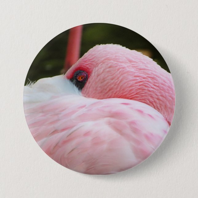 Chapa Redonda De 7 Cm Flamingo (Anverso)