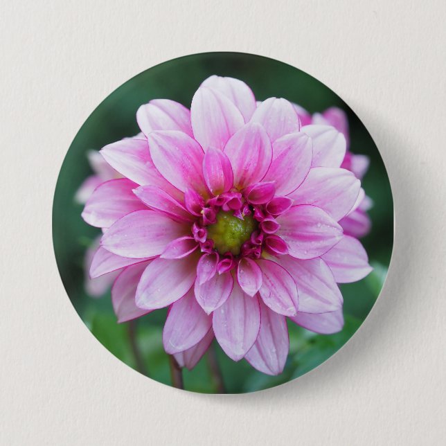 Chapa Redonda De 7 Cm Flor de Dahlia (Anverso)