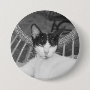 Chapa Redonda De 7 Cm Hola, Meow...