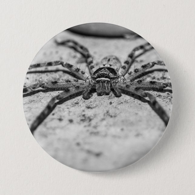 Chapa Redonda De 7 Cm Huntsman Spider (Anverso)