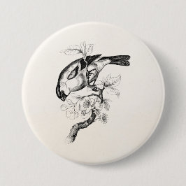 Chapa Redonda De 7 Cm Ilustracion del pájaro del Bullfinch de los 1800s