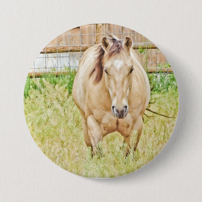 Chapa Redonda De 7 Cm Lazy Morning (Anverso)