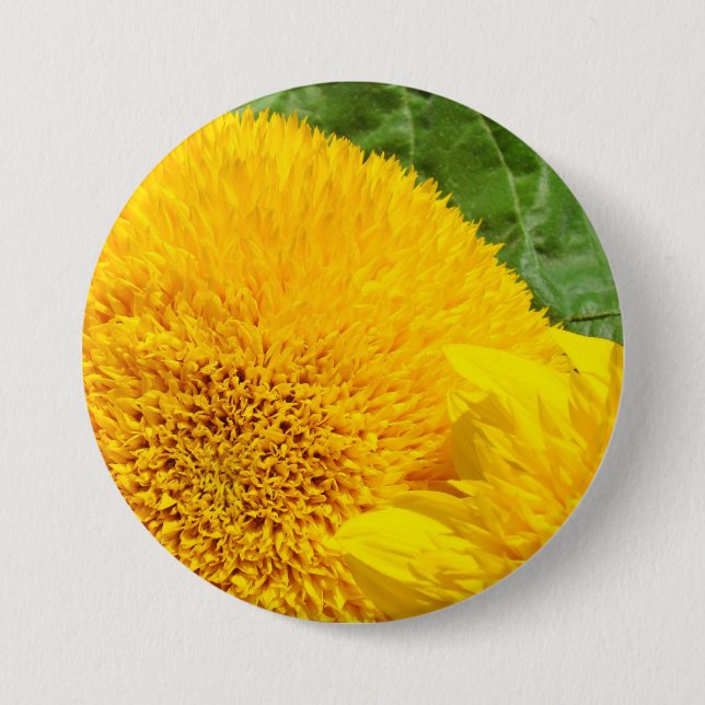Chapa Redonda De 7 Cm Los botones del girasol personalizan los girasoles (Anverso)