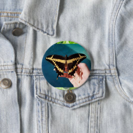Chapa Redonda De 7 Cm Mariposa cola de golondrina gigante