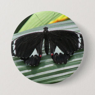 Chapa Redonda De 7 Cm Mariposa tropical negra y blanca
