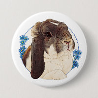 Milly Moo Bunny