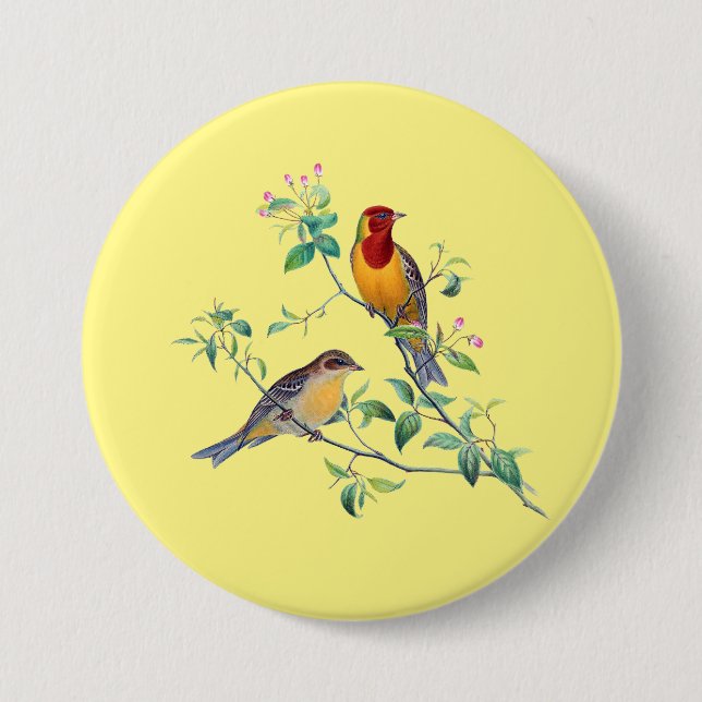 Chapa Redonda De 7 Cm Pájaros Bunting,  (Anverso)