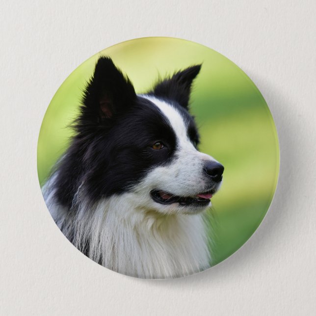 Chapa Redonda De 7 Cm Perro Border Collie negro y blanco (Anverso)