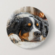 Perro de montaña bernés