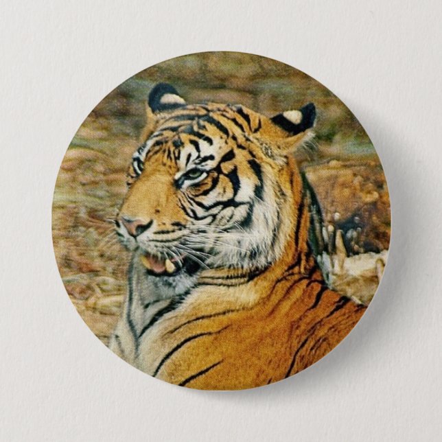 Chapa Redonda De 7 Cm Tigre (Anverso)