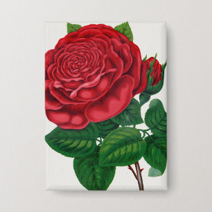 Chapa Rose Print Rochester Litografía y Compañía de Impr