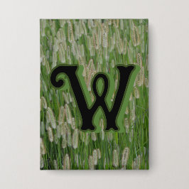 Chapa Semillas de gramíneas verdes altas