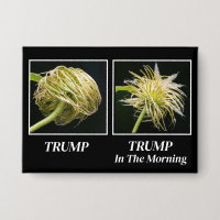 Trump Hair