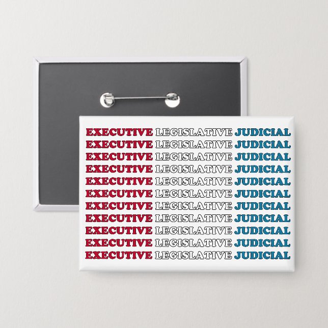 Chapa U.S. Checks & Balances (Anverso/Reverso)