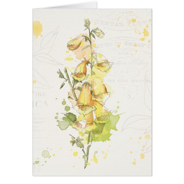 Chapoteo amarillo floral (Frente)