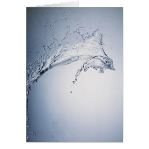 Chapoteo del agua