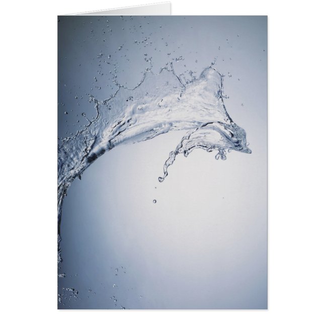 Chapoteo del agua (Frente)