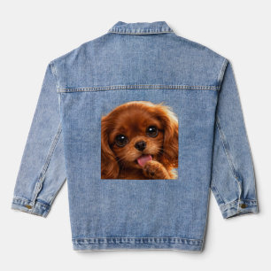 Chaqueta Vaquera Adorable Ruby Cavalier Spaniel 