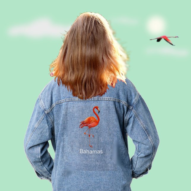 Chaqueta Vaquera Flamenco Rosa (Subido por el creador)