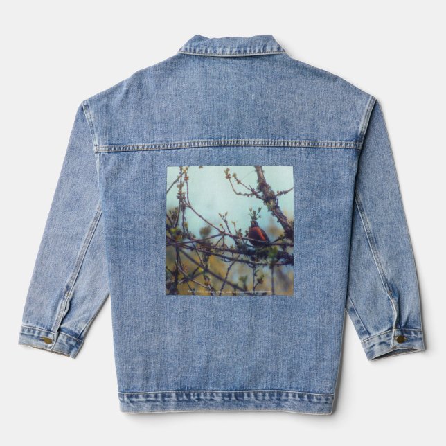 Chaqueta Vaquera Primavera (Reverso )