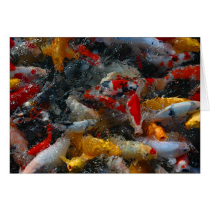 Charca de Koi