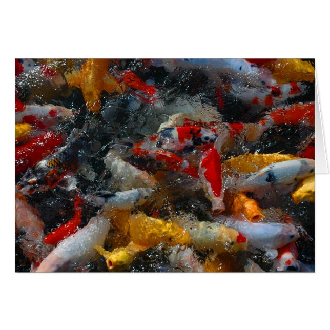 Charca de Koi (Anverso (Horizontal))