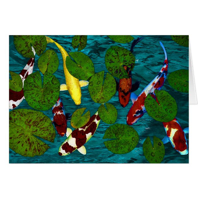 CHARCA DE KOI (Anverso (Horizontal))