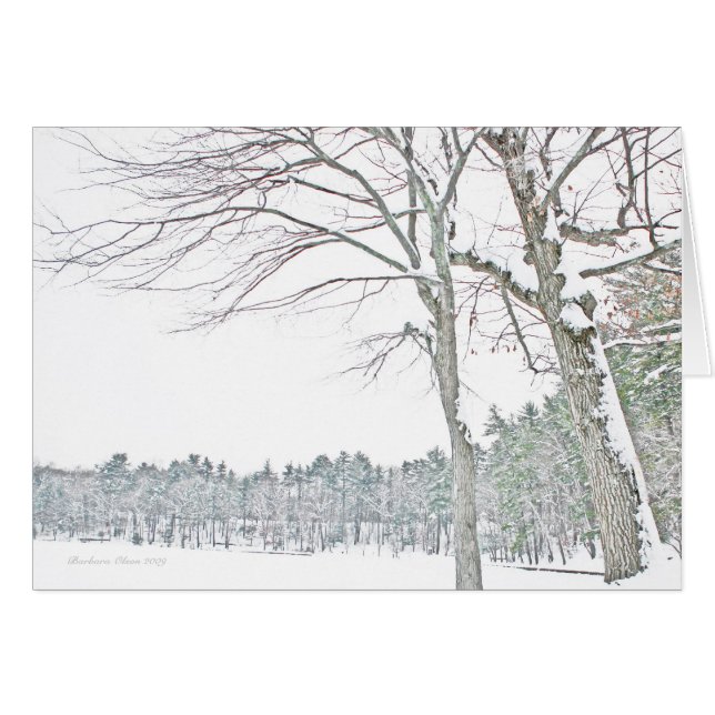 Charca de Walden: En zen (Anverso (Horizontal))