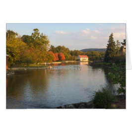 Charca del pato con el molino en caída