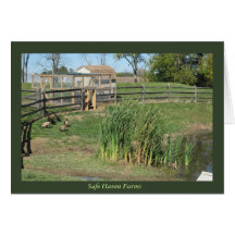 Charca del pato en las granjas del asilo seguro