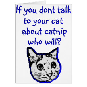Charla a su gato sobre catnip