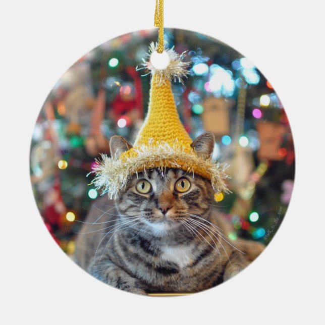 Charla al ornamento del navidad de la pata 2015 (Atrás)