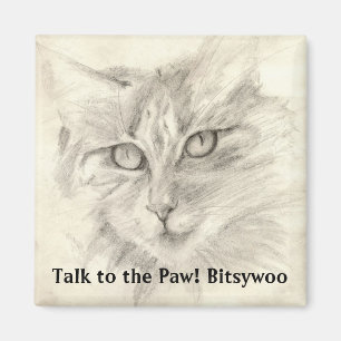 Charla de Bitsywoo al imán de la pata