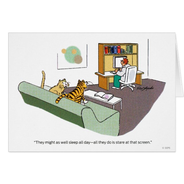 Charla de gato (Anverso (Horizontal))