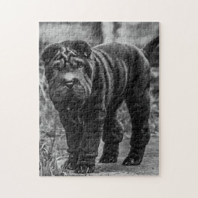 CHARLA DE PERRO PEI CUTE JIGSAW PUZZLE (Vertical)