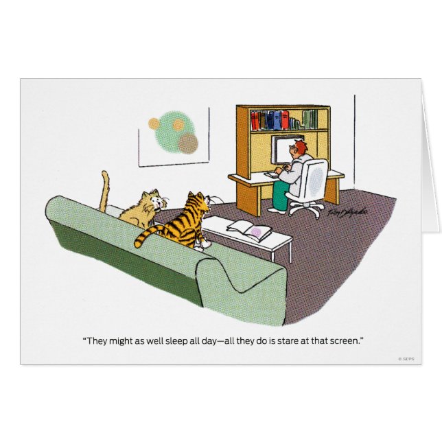 Charla del gato (Anverso (Horizontal))