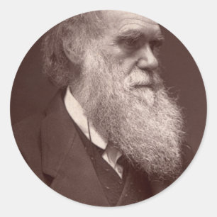 Charles Darwin Pegatina