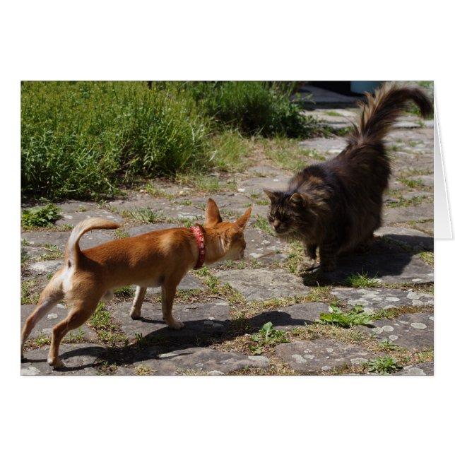 Charlie Chihuahua (Anverso (Horizontal))