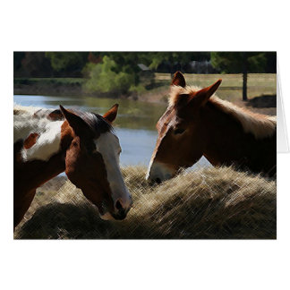 Charlie Mule y Dulce Maria