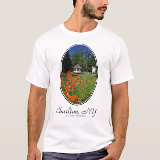 Charlton, camiseta de NY
