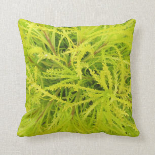 ¡CHARTREUSE! Almohada