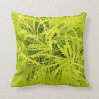 ¡CHARTREUSE! Almohada
