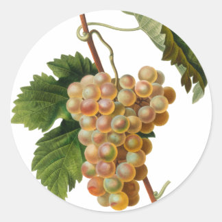 Chasselat de Fontainebleau Round Pegatina