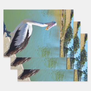 Chat posterior Pelican, envolver hojas de papel