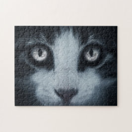 Chat sobre rompecabezas 252 pcs