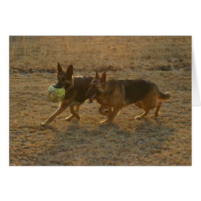 Chauncey y Abie (Anverso (Horizontal))