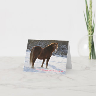 Checo, caballo en la tarjeta de Navidad de la