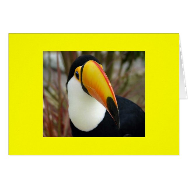 CHEERFUENTE GRIN (Anverso (Horizontal))