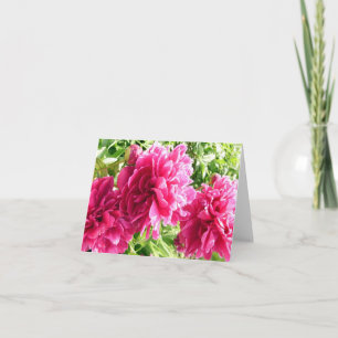 Cheery Peonies / Tarjeta de nota